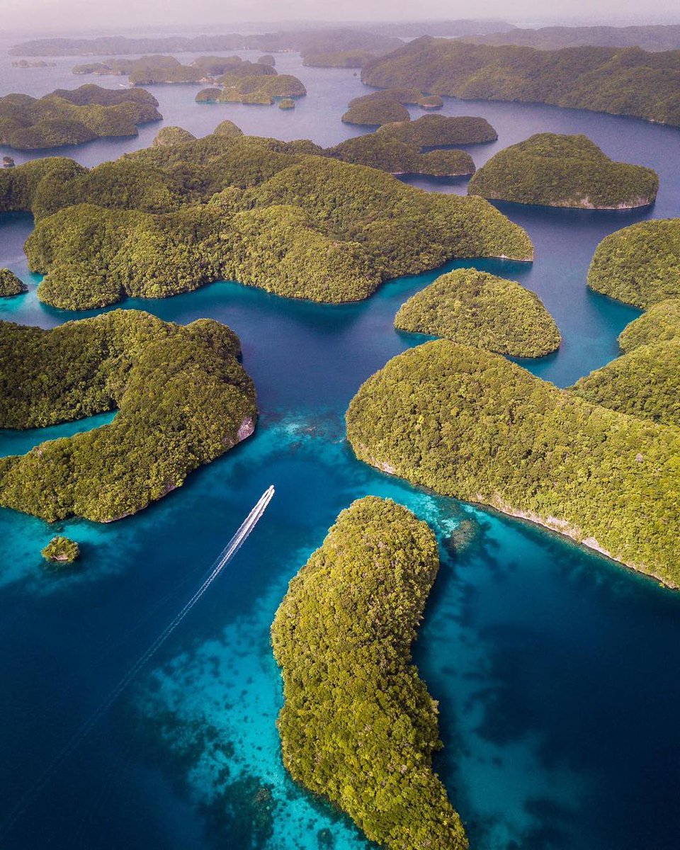 OrlebarBrown's tweet photo. We are celebrating #Earthday today &amp; appreciating places that are trying their upmost to make a sustainable and equitable future, like #Palau, the first county to make visitors sign an eco-pledge in their passport upon arriving.
#PalauPledge #DoseOfSun #OBsAroundTheWorld https://t.co/Vy7Lkj9IoM