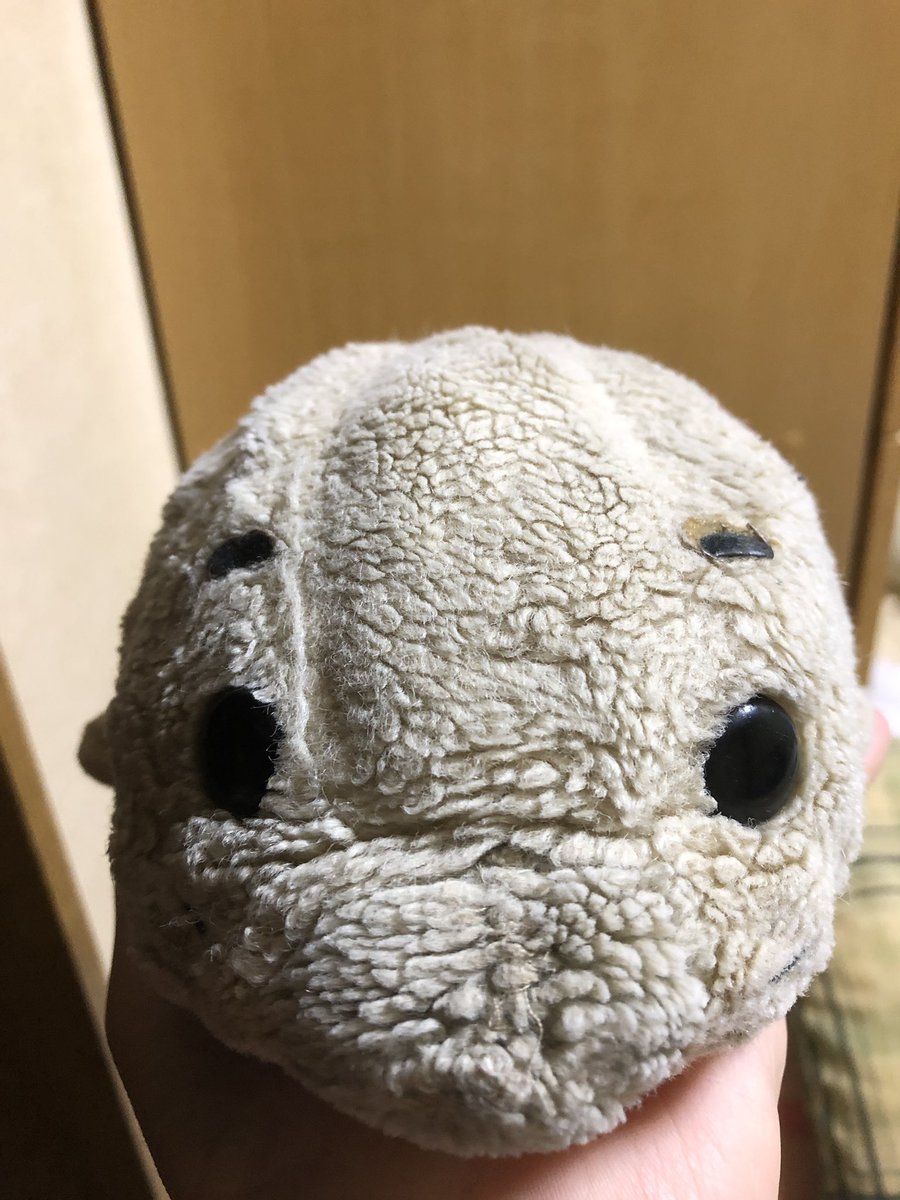 愛されすぎたゴマちゃん Togetter 愛されすぎたゴマちゃん Togetter