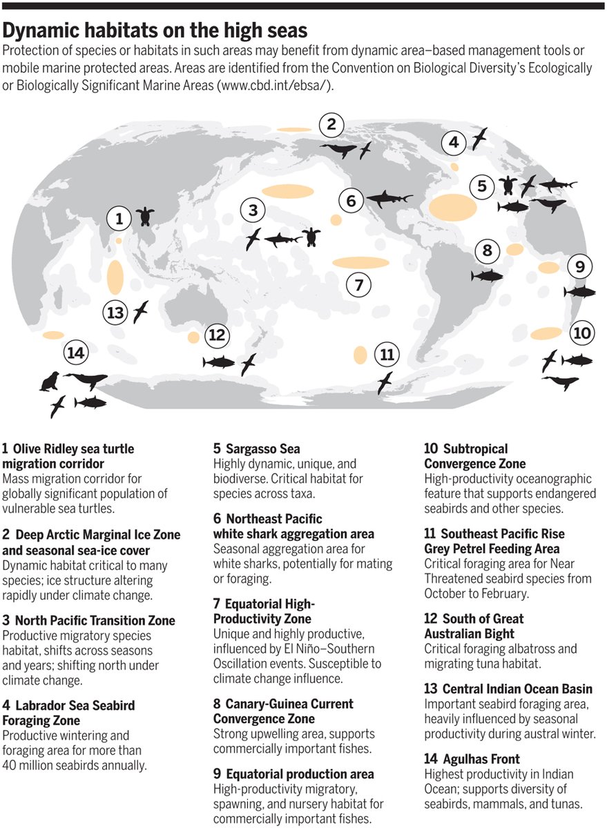 Dr Lucy A Hawkes (@drlucyhawkes) on Twitter photo On this Unique #EarthDay several things give me HOPE for Nature (8/n): We've also worked out that the areas that need protecting move - and have plans for how to move protection with them (work by <a href="/maxwell_lab/">The Maxwell Lab</a> ): science.sciencemag.org/content/367/64… On this Unique #EarthDay several things give me HOPE for Nature (8/n): We've also worked out that the areas that need protecting move - and have plans for how to move protection with them (work by <a href="/maxwell_lab/">The Maxwell Lab</a> ): science.sciencemag.org/content/367/64…