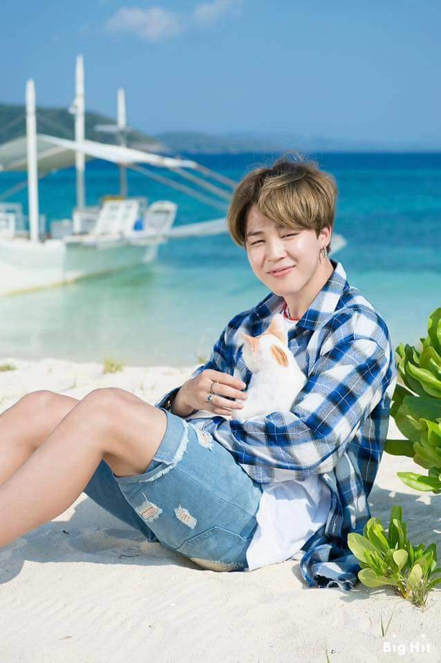 jimin with cats 