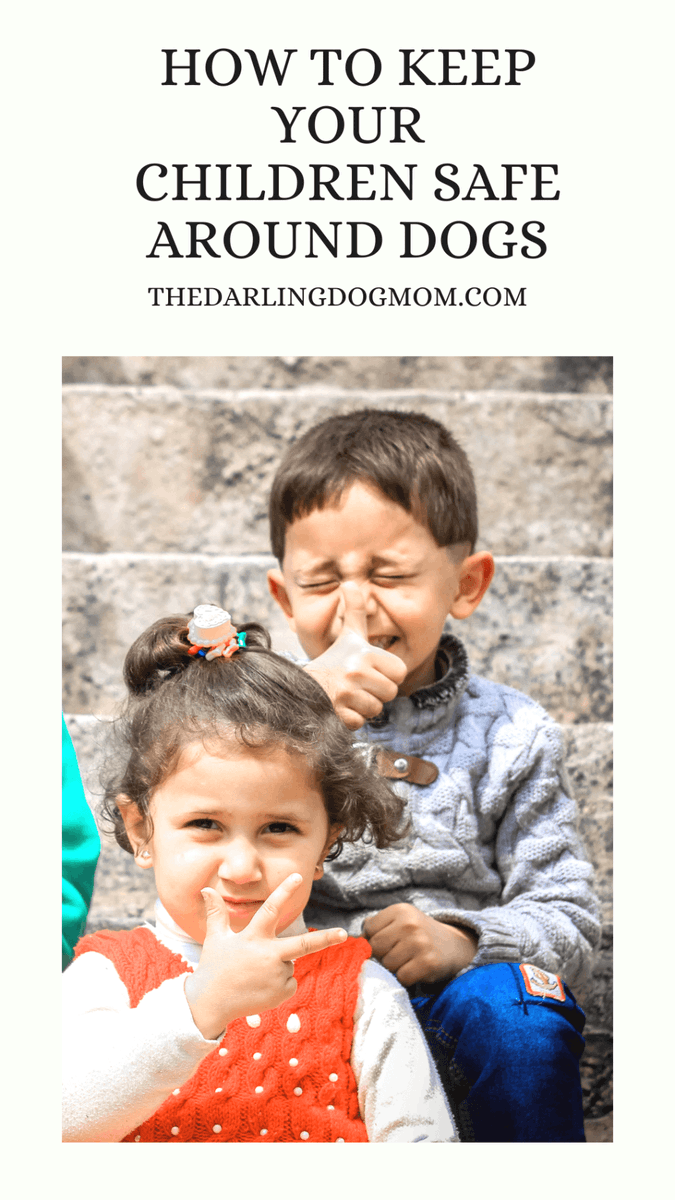 How to Keep Your Children Safe Around Dogs thedarlingdogmom.com/how-to-keep-yo…