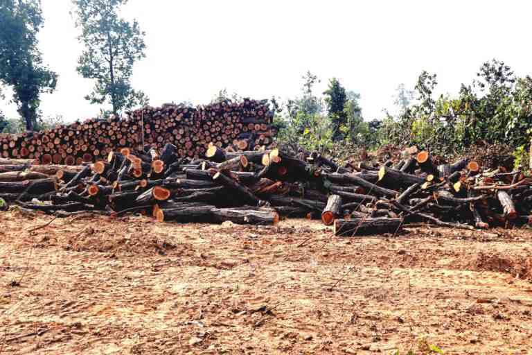 AneraoKailash's tweet image. Guardians from village forest protection committees stare at deforestation massacre of lakhs of trees in Talabira &amp;amp; Khinda forests for mining project by @AdaniOnline
#IndiaNeedsClimateAction    #SaveTalabira  #StopAdani   #EarthDay2020 @SaveTalabira @ANI 
newindianexpress.com/states/odisha/…