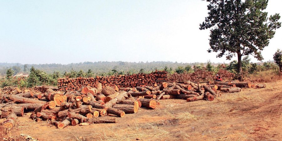 AneraoKailash's tweet image. Guardians from village forest protection committees stare at deforestation massacre of lakhs of trees in Talabira &amp;amp; Khinda forests for mining project by @AdaniOnline
#IndiaNeedsClimateAction    #SaveTalabira  #StopAdani   #EarthDay2020 @SaveTalabira @ANI 
newindianexpress.com/states/odisha/…