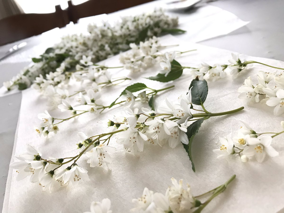 押し花サロン スイートアリッサム در توییتر 今日は姫ウツギをたくさん押しました 姫ウツギは1 くらいの白いお花が鈴なりに咲き 押し花にしても可愛いのですღ 花言葉は 秘密 秘めた恋 夏の訪れ 潔白 押し花 花のある暮らし 押し花サロン スイートアリッサム در توییتر 今日は姫ウツギをたくさん押しました 姫ウツギは1 くらいの白いお花が鈴なりに咲き 押し花にしても可愛いのですღ 花言葉は 秘密 秘めた恋 夏の訪れ 潔白 押し花 花のある暮らし