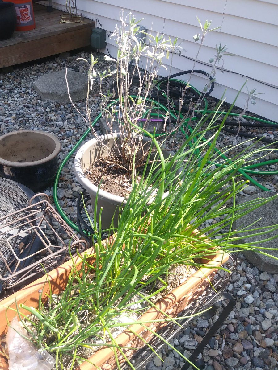 Kim Redinger tweet media