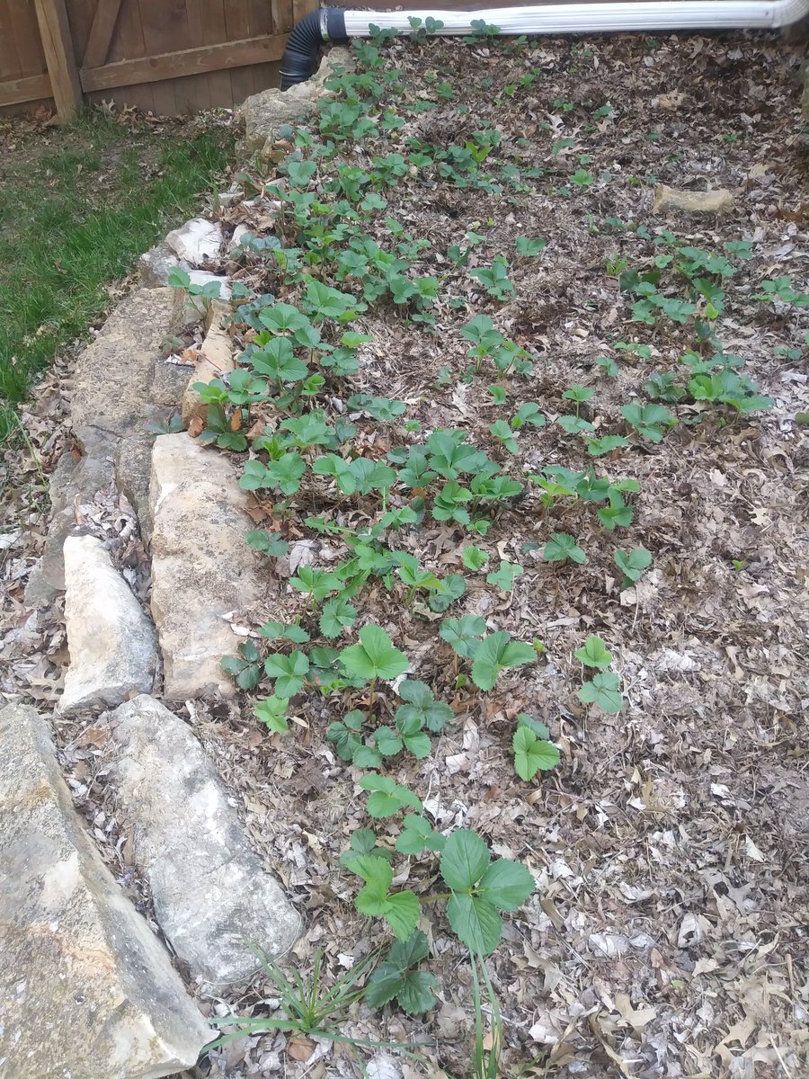 Kim Redinger tweet media