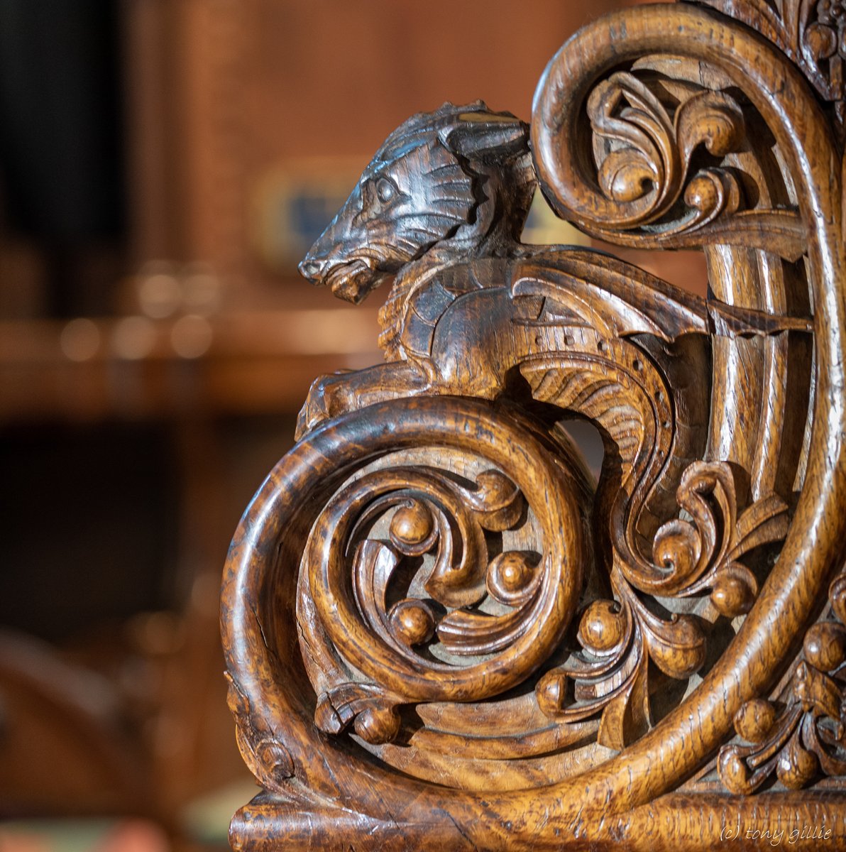 A peaceful dragon hiding in plain sight in the Quire stalls at Salisbury Cathedral, trying to keep out of the way of people with sharp weapons...
#DragonsInChurches #AnimalsInChurchesHour