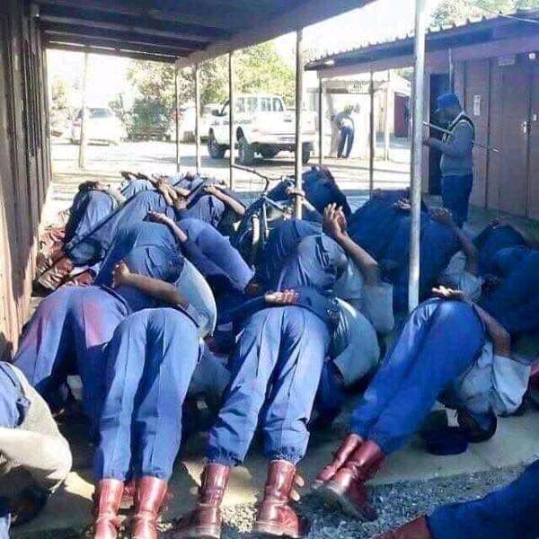 DeputyBae_'s tweet photo. What kind of training is this?🤷 https://t.co/3gwueXuey5