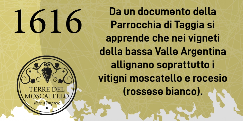 terremoscatello's tweet photo. Fonte storica: Prof. Alessandro Carassale

#moscatello #lamialiguria #enoturismo #moscatelloditaggia #rivieraligurediponentedoc #vino #vini #viniliguri #vinidoc #viniliguridoc #taggia #sanremo #imperia #albenga #liguria #lamialiguria #rivieraligurediponente #liguriadiponente https://t.co/r6QuuHn1PE