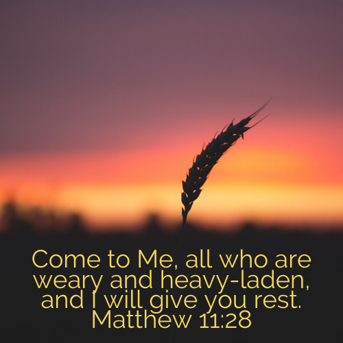 pamvaservices's tweet photo. Feeling weary and tired? Do you need some rest?

#upworkvirtualassistant #virtualassistant #adminsupport #freelancer #onlinejobs https://t.co/wHwJ4dQMeb