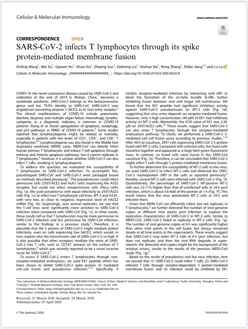 Abother study says SARS CoV2 infects T Lymphocytes through its Spike Protein mediated membrane fusion much like HIV. But questions remained whether it could replicate itself in HIV or is abortive remained inconclusive.