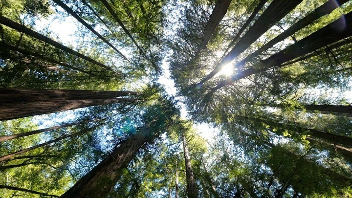 Over half a million <a href="/scouts/">Scouts</a> in the UK are going on a #HikeToTheMoon this week, to help those who need it most on Earth. Today, as we celebrate #EarthDay, we’d love you to join us: scouts.org.uk/hiketothemoon and link in bio <a href="/worldscouting/">World Scouting</a> #protectourplanet #adventure #nevergiveu…