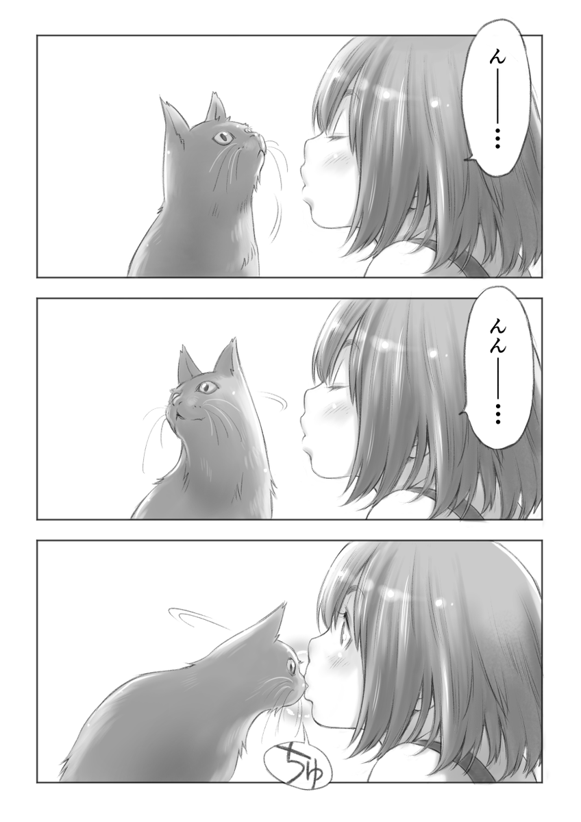 ミオくんとミコちゃん。
#猫 #まこ漫画 
