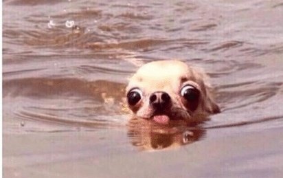 Im_ImErUb's tweet photo. Io che fingo di non star affogando in un mare d'ansia https://t.co/Ll93wKIZdV