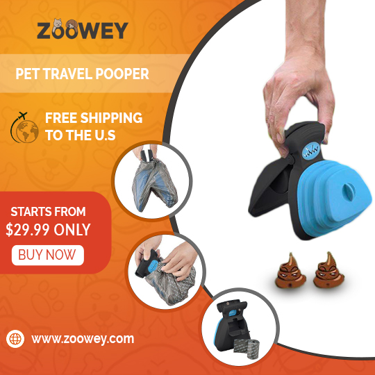 Zooweycom's tweet photo. Easy online shopping😍 Free Shipping to USA.
#Pet #Pet #Dog #Dogs #Cat #Cats #Pet_product #Pets_products #Pet_supply #Pets_supplies #Dog_supply  #Dogs_supplies #Cat_supply #Cats_supplies https://t.co/u4a6ucczFR