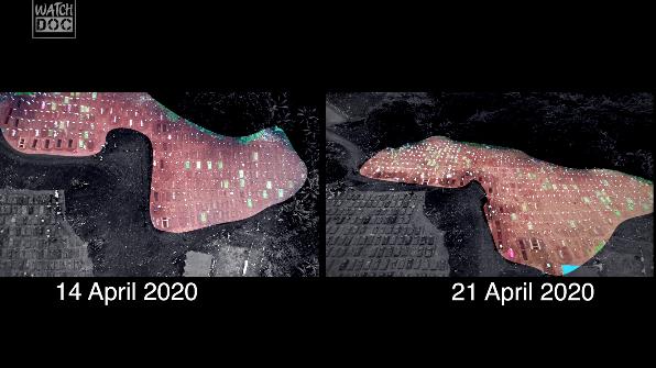 Cuplikan gambar ini adalah salah satu sudut TPU Pondok Ranggon, yang oleh Pemprov DKI Jakarta dijadikan sebagai lokasi pemakaman jenazah Covid-19. Tampak ada perluasan makam selama tujuh hari terakhir.

Tunggu cerita lengkapnya di series terbaru kami, "Garda Terakhir".

Segera!