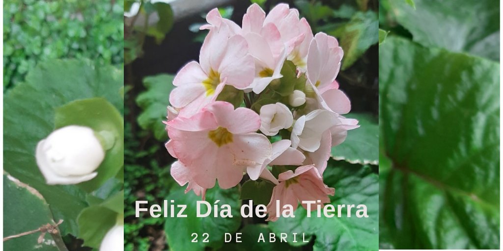 EIAM_USA's tweet photo. Desde la EIAM con sus programas  de Administración  Ambiental y Administración  Agropecuaria,  queremos decirles FELIZ DÍA DE LA TIERRA, en un año particular, donde los seres humanos la estamos dejando respirar sin contaminación #EIAM  #PRIME  #LaSergioTeConecta #DiaDeLaTierra https://t.co/HNE8QvuKYh