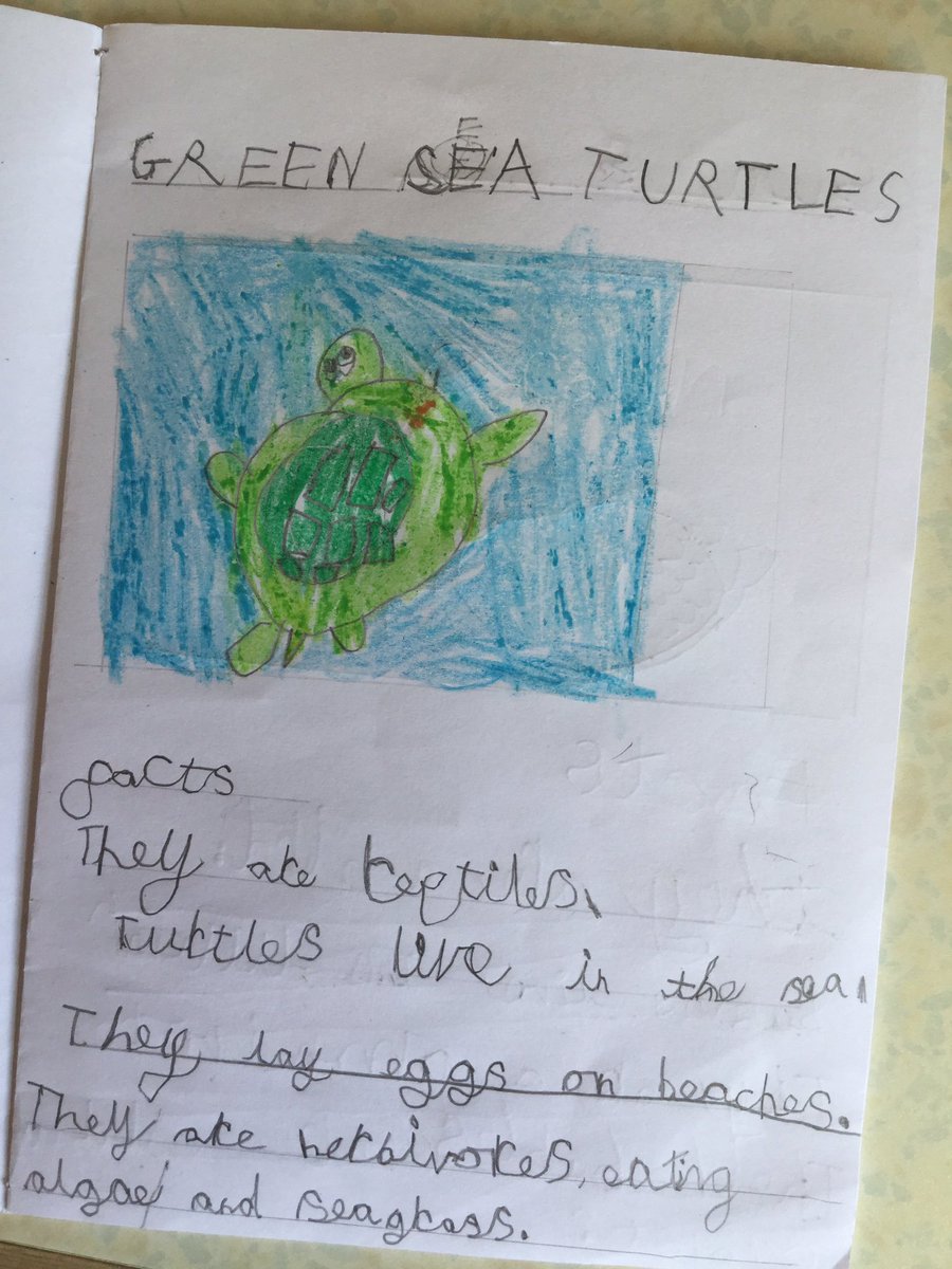 Jim Radford tweet media