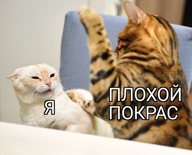 Marman_Barman's tweet photo. Без шуток, я весь год осветлялась ради того, чтобы вернуться к тому , с чего начинала. https://t.co/VDGUJWvPkm