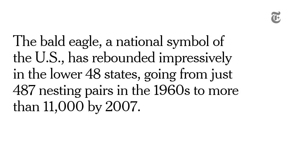 Better: The bald eagle soars againOne of the major legacies of the first Earth Day was a strengthened Endangered Species Act. More than 1,700 plants and animals have since been protected under the law and roughly 99% have avoided extinction.