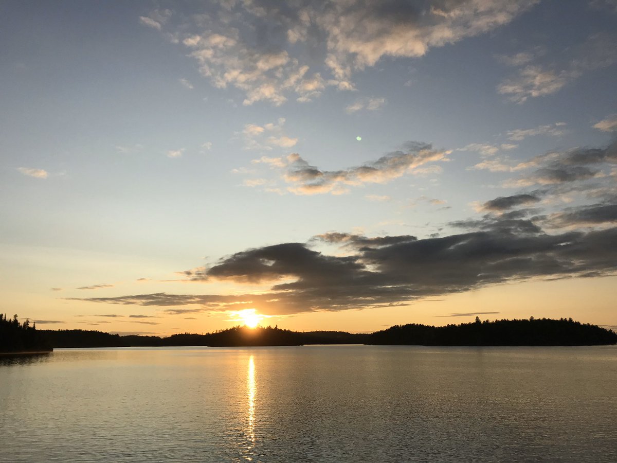 Hailey Beaudry tweet media