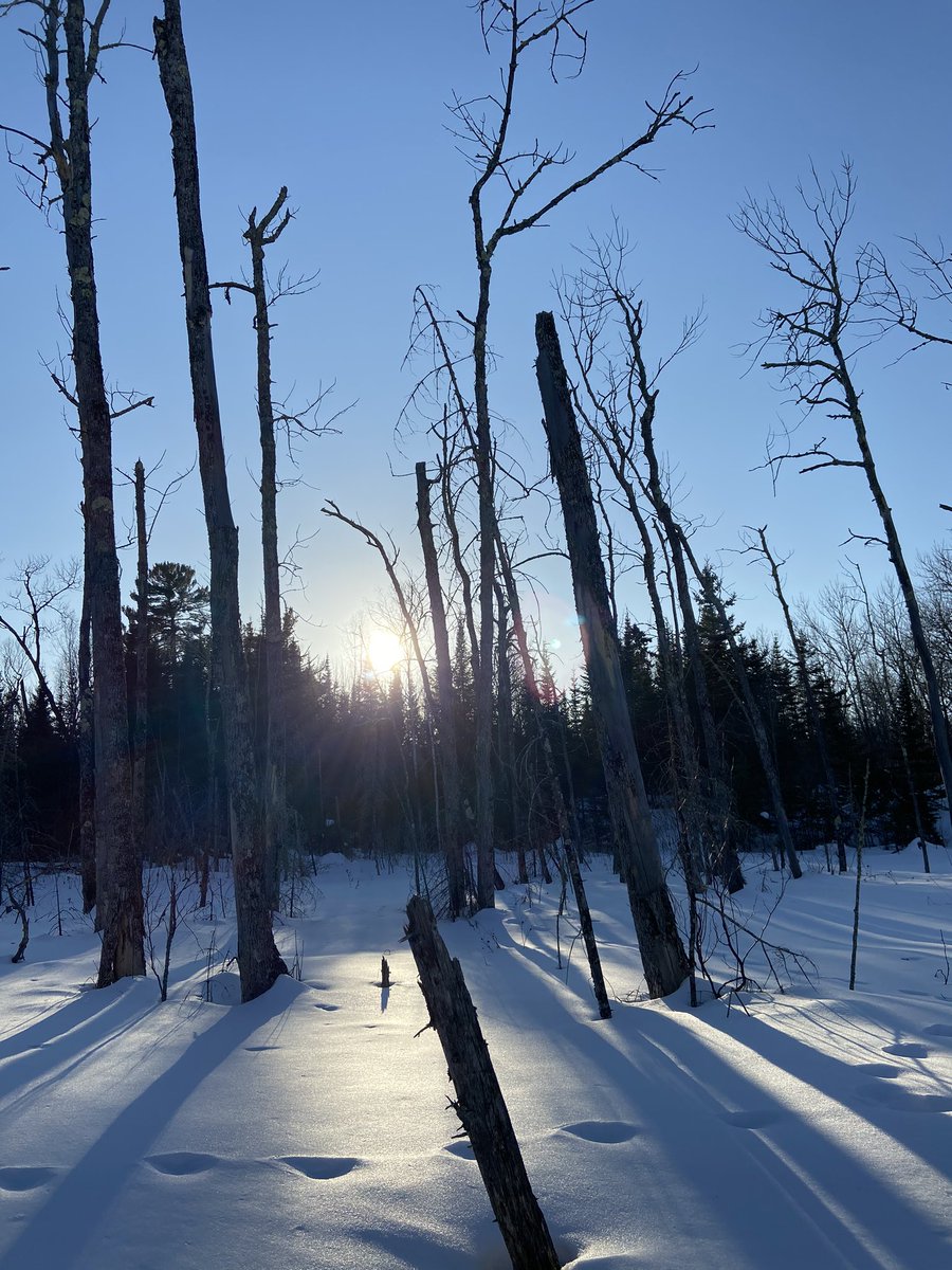 Hailey Beaudry tweet media