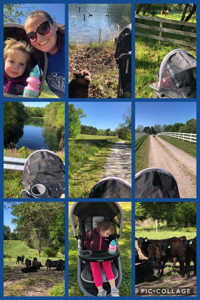 CandiceParsley's tweet photo. Our first attempt at the NKEF 5K #stridesforschools taking a walk around the farm and the neighboring gravel road to visit the animals and the wildlife. My walking partner quit me at the halfway point #newkentstrong https://t.co/KYSwBpNRgA