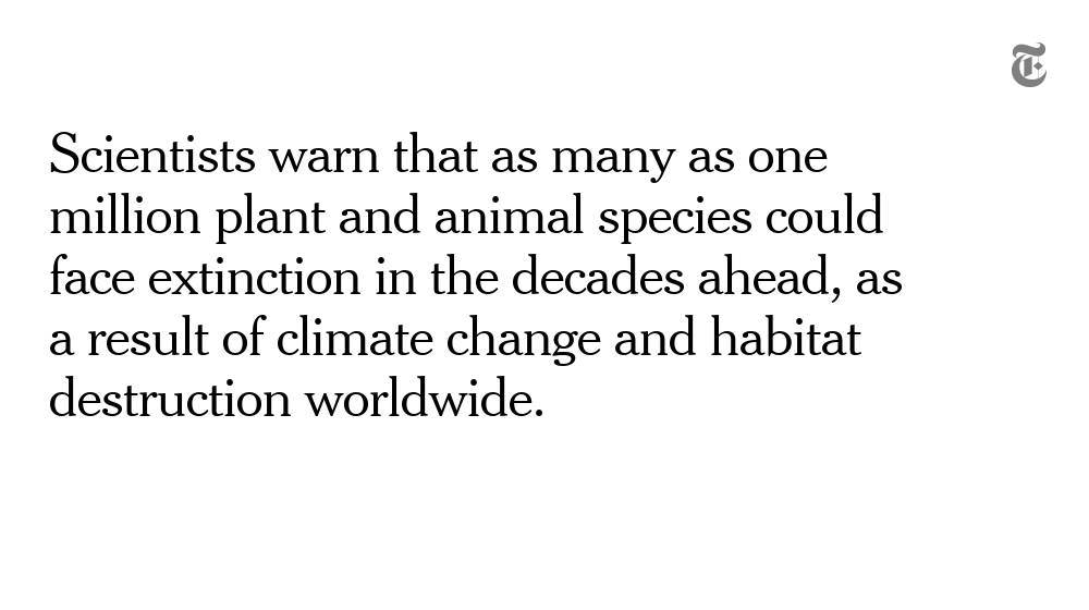 Worse: An extinction crisis loomsDespite successes in saving individual species from near-extinction, the world is still losing natural habitat at a striking rate. Scientists warn that as many as one million plant and animal species could face extinction in the decades ahead.