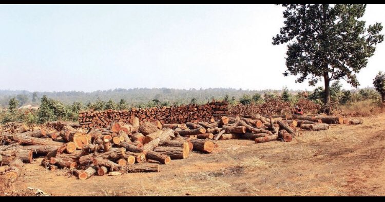 AneraoKailash's tweet image. Is it merely a coincidence that Keonjhar district in Odisha, home to 45% of tribal population has 64 mining projects which has led to the diversion of 10451 hectares of forest land?? Read on....
#IndiaNeedsClimateAction    #SaveTalabira
#EarthDay2020 @ANI 
india.mongabay.com/2019/09/tribal…