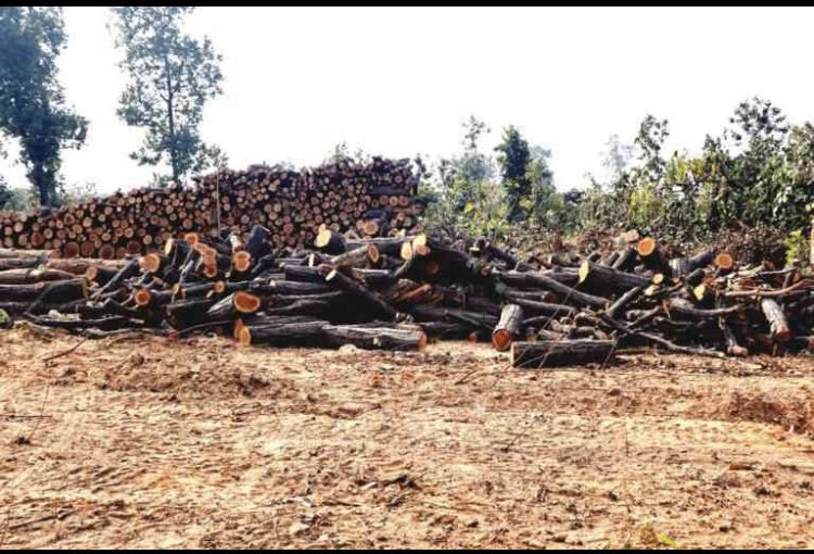 AneraoKailash's tweet image. Is it merely a coincidence that Keonjhar district in Odisha, home to 45% of tribal population has 64 mining projects which has led to the diversion of 10451 hectares of forest land?? Read on....
#IndiaNeedsClimateAction    #SaveTalabira
#EarthDay2020 @ANI 
india.mongabay.com/2019/09/tribal…