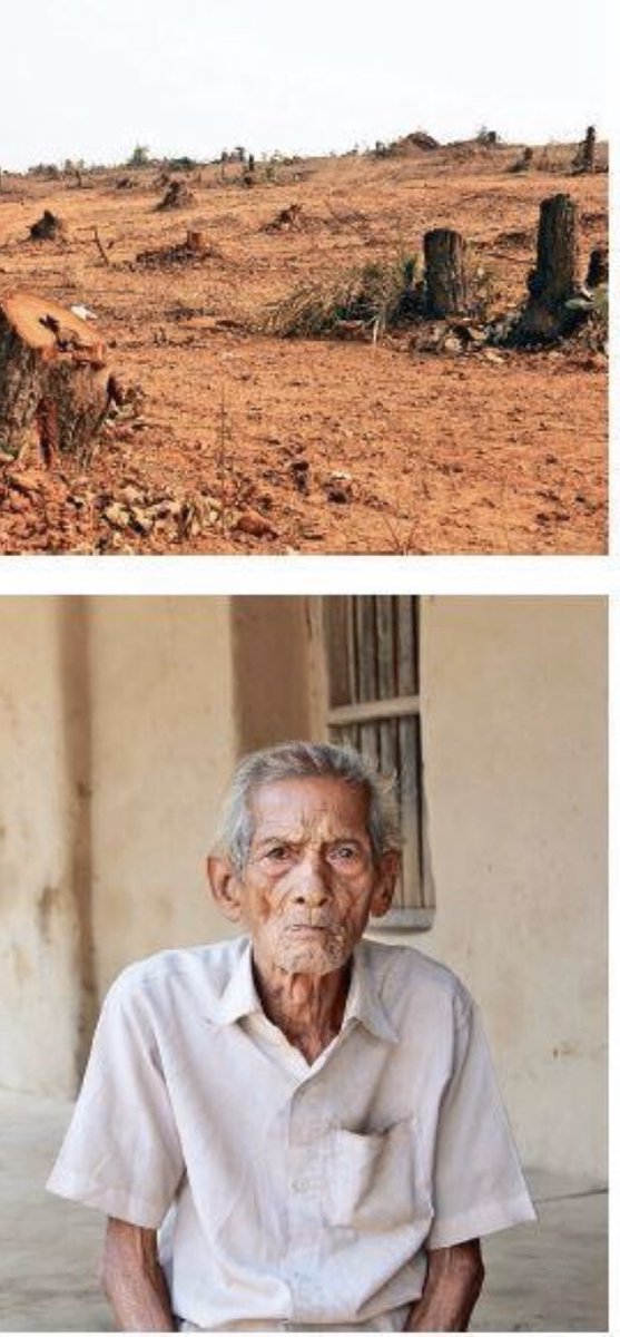 AneraoKailash's tweet image. Is it merely a coincidence that Keonjhar district in Odisha, home to 45% of tribal population has 64 mining projects which has led to the diversion of 10451 hectares of forest land?? Read on....
#IndiaNeedsClimateAction    #SaveTalabira
#EarthDay2020 @ANI 
india.mongabay.com/2019/09/tribal…