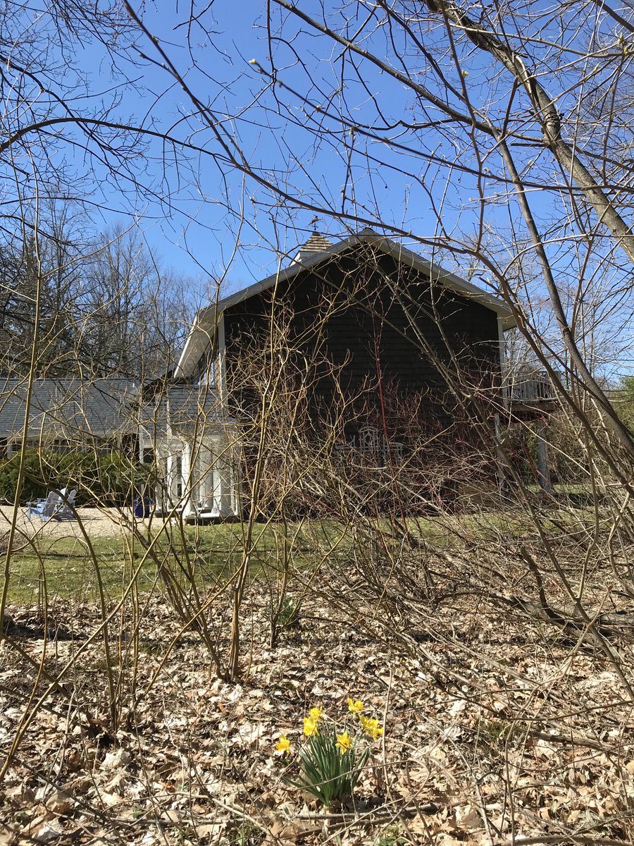 RabbitRunInn's tweet image. Earth Day Greetings from Rabbit Run