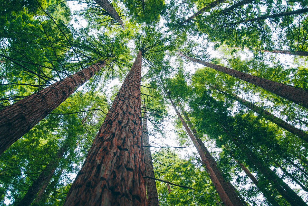 FCM_online's tweet photo. On #EarthDay2020, we’re celebrating 20 years of the Green Municipal Fund (GMF) helping #CDNmuni build sustainable infrastructure solutions. https://t.co/eZj4CByu4f