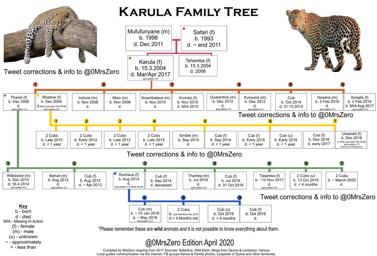0MrsZero's tweet photo. #wildearth good afternoon safari family, I didn't get any offers to proof read it, but here's the latest edition of The Karula family tree (not much has changed since the last one) feel free to share/save and I'm more than happy to take corrections! Happy earth day too ❤️❤️❤️ https://t.co/BbnJiCQvJU