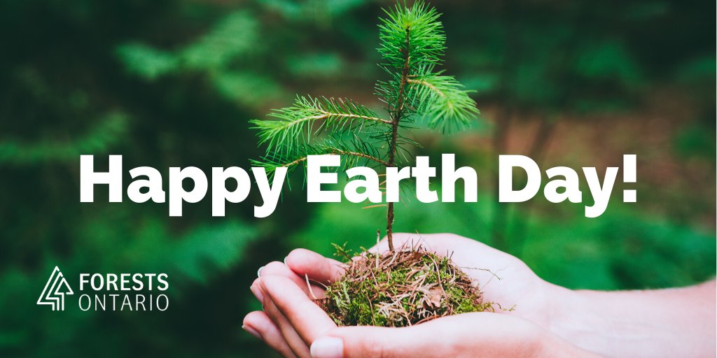forestscanada's tweet photo. On the 50th anniversary of #EarthDay, we're celebrating the 29 million trees planted through the #50MillionTreeProgram, the 16,500+ hectares of new forest they've created, and the 22,000+ tonnes of carbon they sequester annually! #EarthDay50 https://t.co/CFXijQNbks https://t.co/6jc1o0JeW0