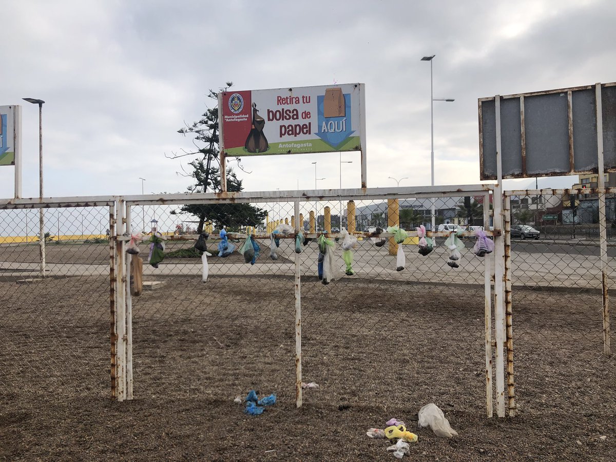 RX_MR's tweet photo. Primer paso logrado!!! Poder recoger la caca de TU perro.
Vamos por el segundo paso, tengo Fe que pueden....
wueones cochinos, caminan unos metros y se encuentran con basurero!!! #parquecaninomunicipal 
#antofagasta https://t.co/rrG6BQnxZu