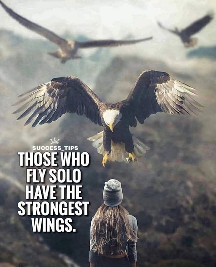 Marktempest (@calomark4) on Twitter photo 