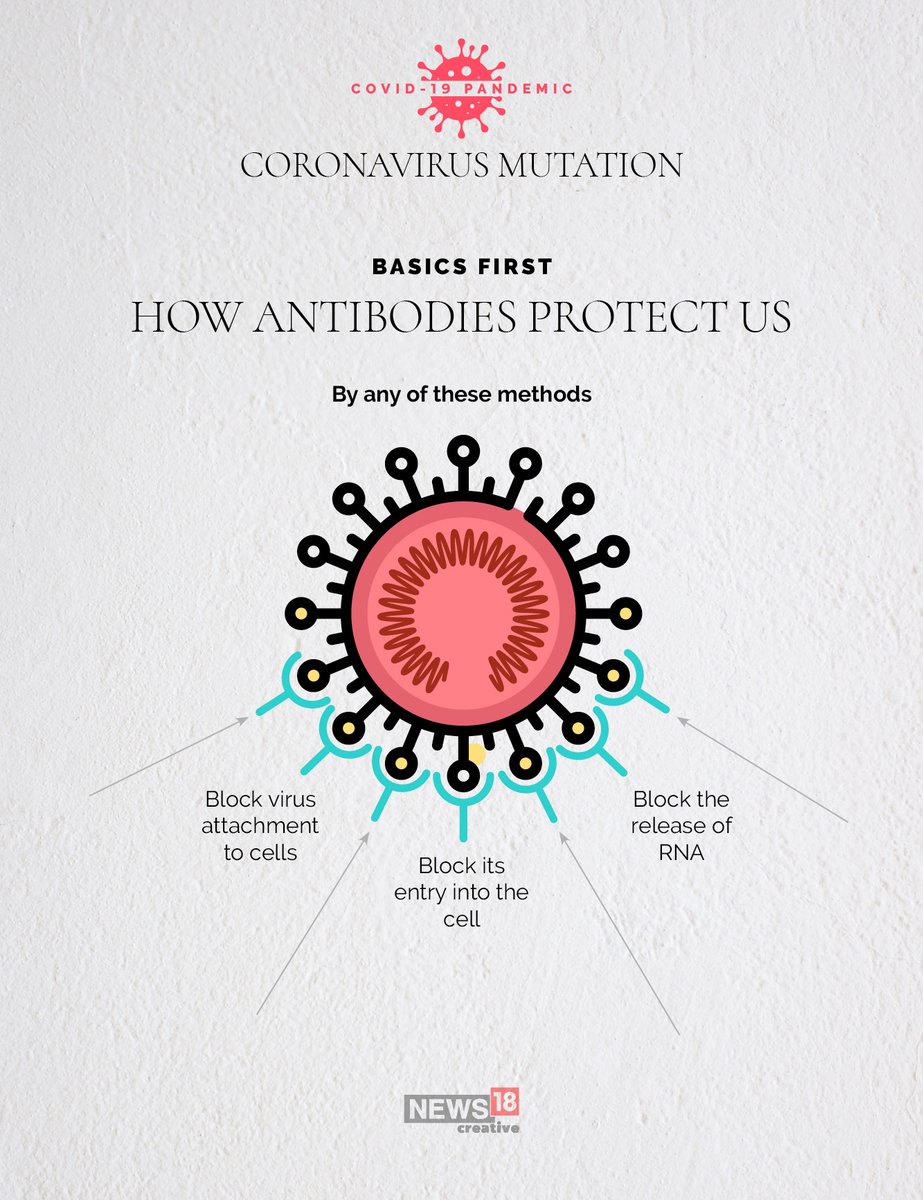 Why a mutating SARS-CoV2 is a challenge for vaccine development (4/n)