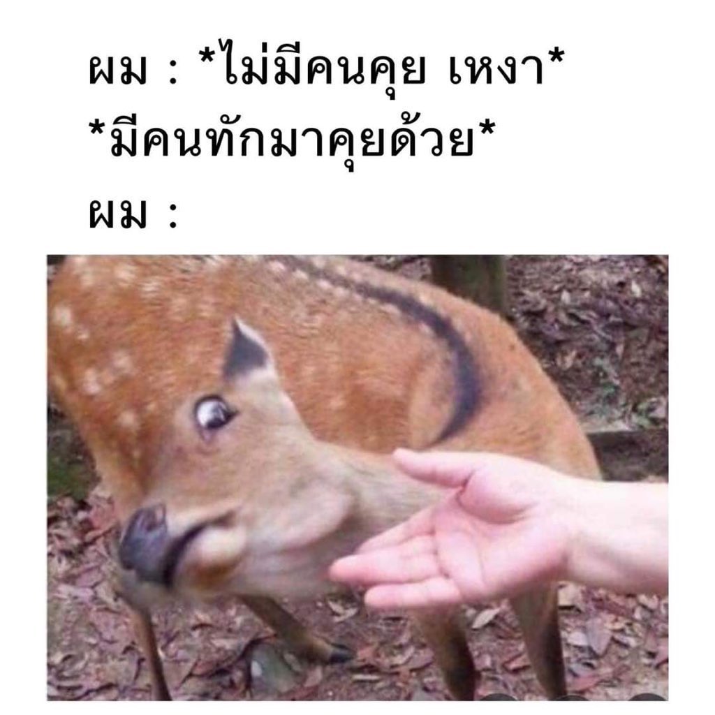 ใครมีฮาๆ มาแบ่งหน่อย