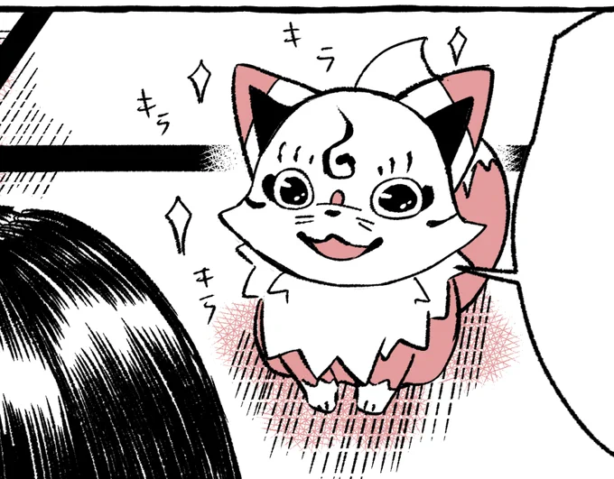 こんちゃん かわいいよね 