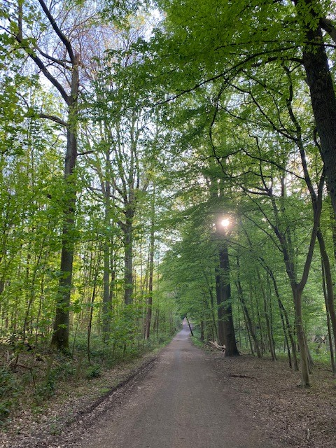 fyteko's tweet photo. Today is #EarthDay2020 

Let us not lose focus on taking steps to care for our planet, Mother Earth🌍 ...we only have one!

#EarthDay #Fyteko https://t.co/gGNEJHsLeA