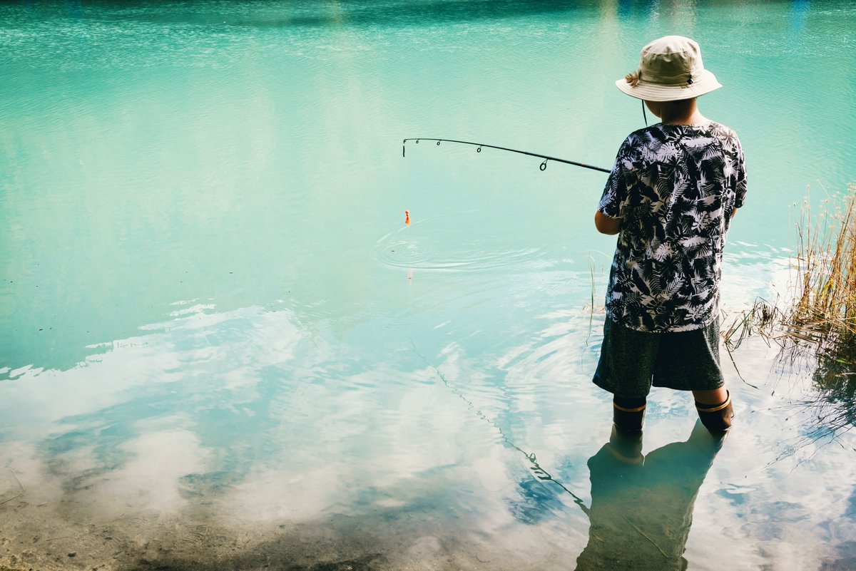 fishstainable tweet picture