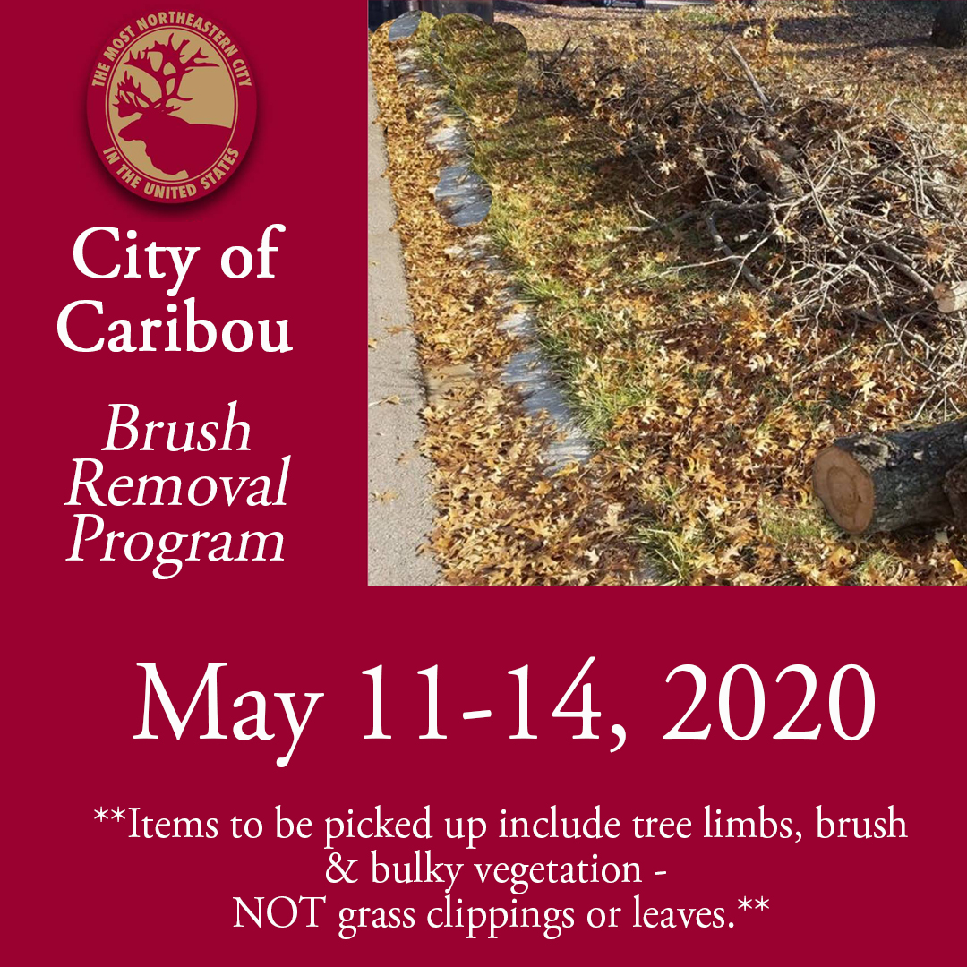 City of Caribou Brush Removal Program: 5/11/20-5/14/20. One pick up per neighborhood. Place brush curbside by 6am on 5/11. One load per residence. In rural Caribou: call 493-4211 to schedule pickup. Limbs, brush, bulky vegetation included. Please, no grass clippings or leaves.