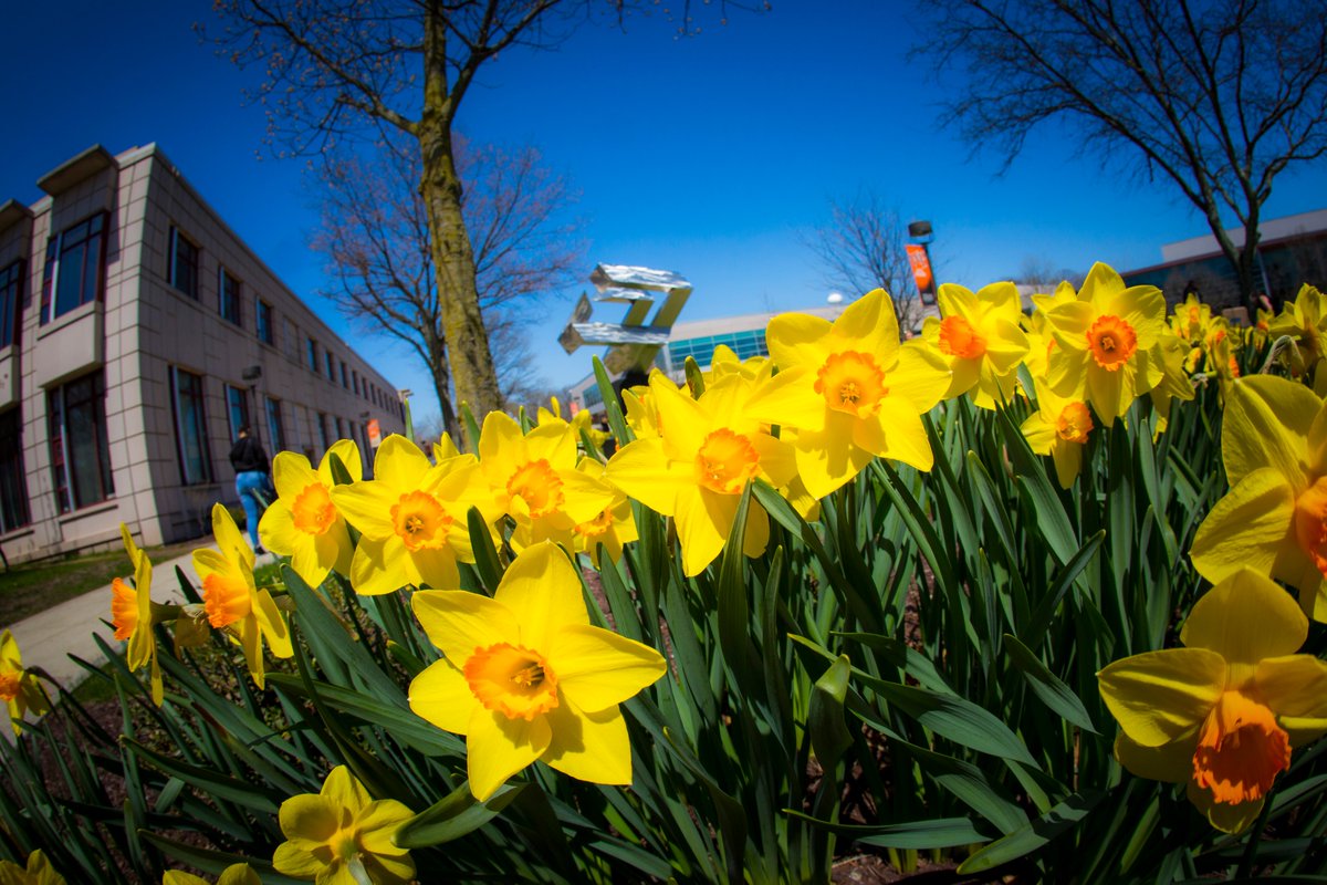 wpunj_edu's tweet photo. We're missing our beautiful campus a little extra today.
Let's share some #EarthDay love -- reply to this post with your favorite campus photos 🌼 #WPGreen https://t.co/6rhWPSdowL