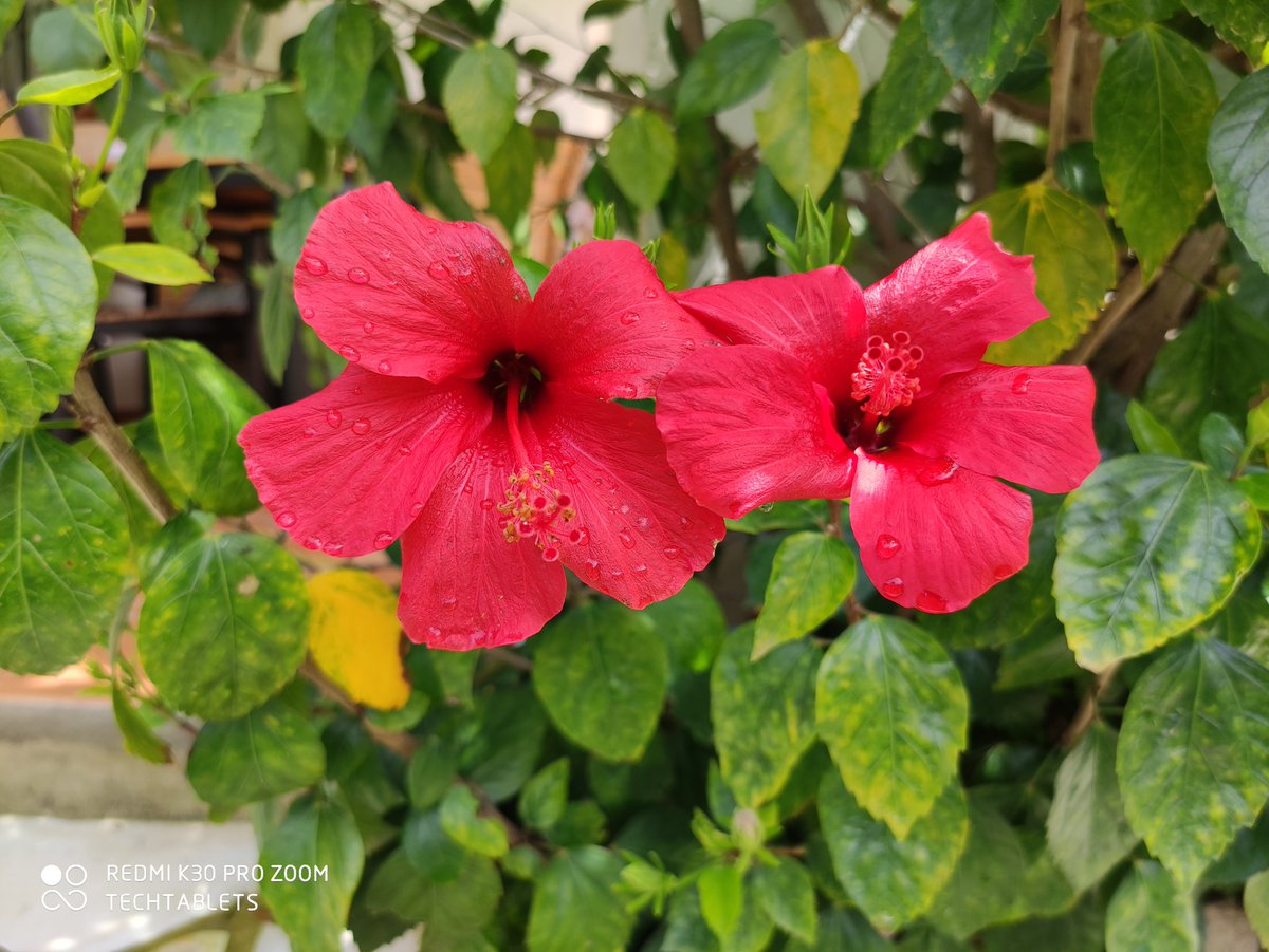 TechTabletscom's tweet image. Shot on the Redmi K30 Pro. What do you think? #redmik30pro