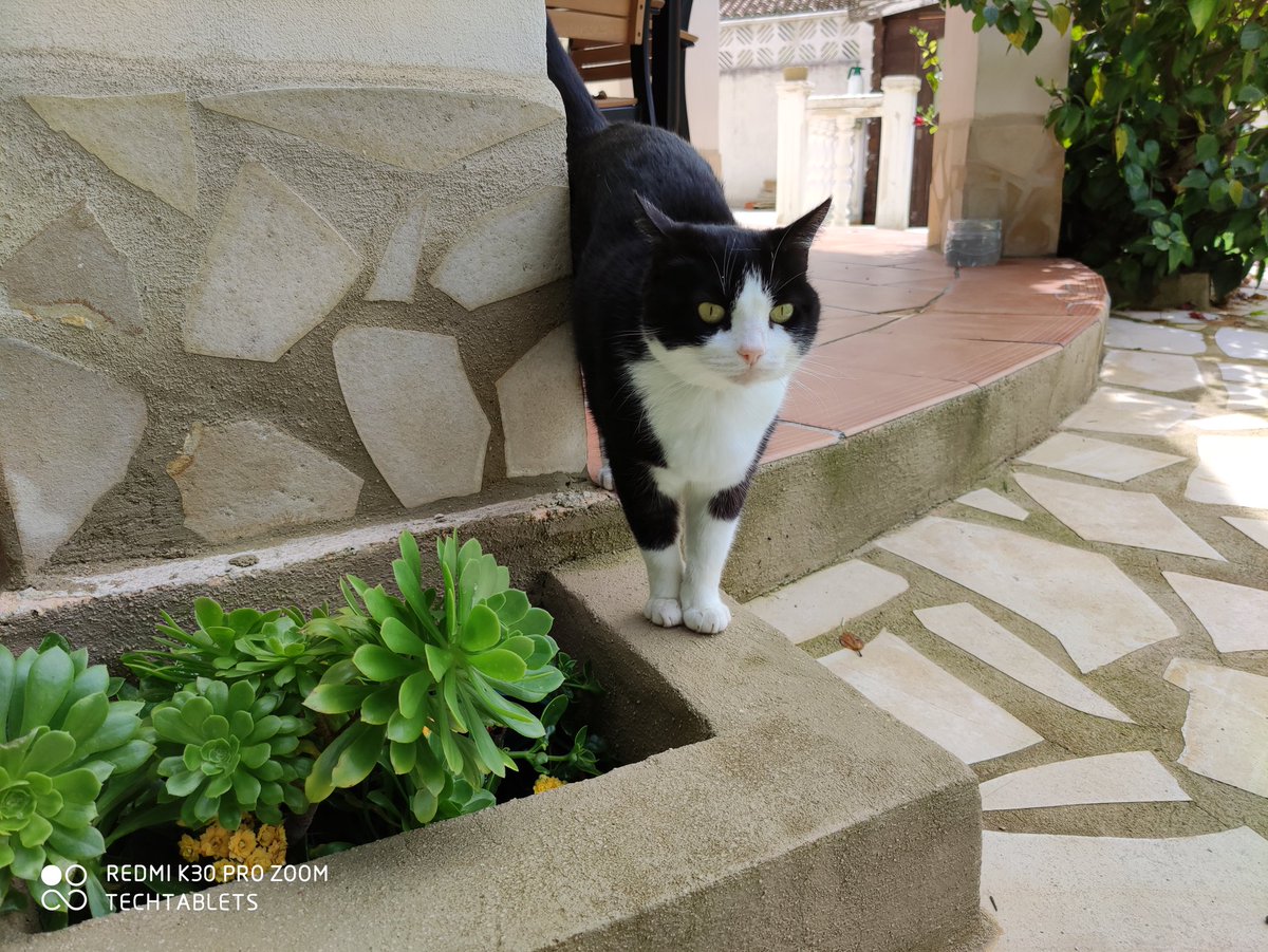 TechTabletscom's tweet image. Shot on the Redmi K30 Pro. What do you think? #redmik30pro