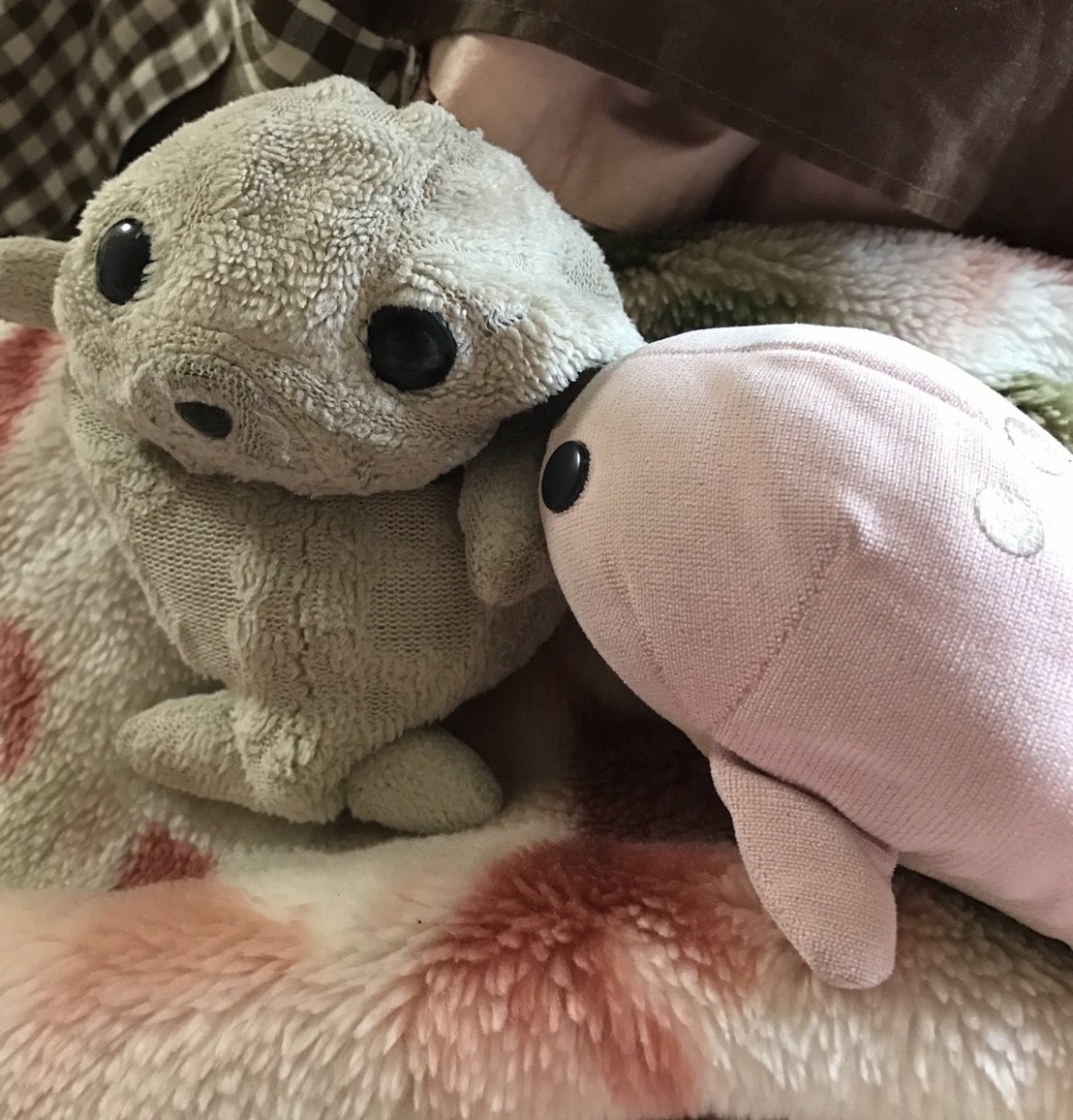 愛されすぎたゴマちゃん Togetter 愛されすぎたゴマちゃん Togetter
