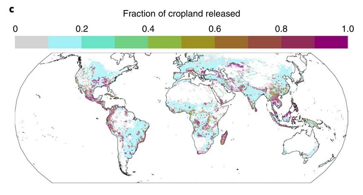 Dans le 2e modèle (c.), plus de surfaces sont cultivées, MAIS 20% des terres en zone de hotspot (donc riches en diversité biologique) ont pu être libérées !