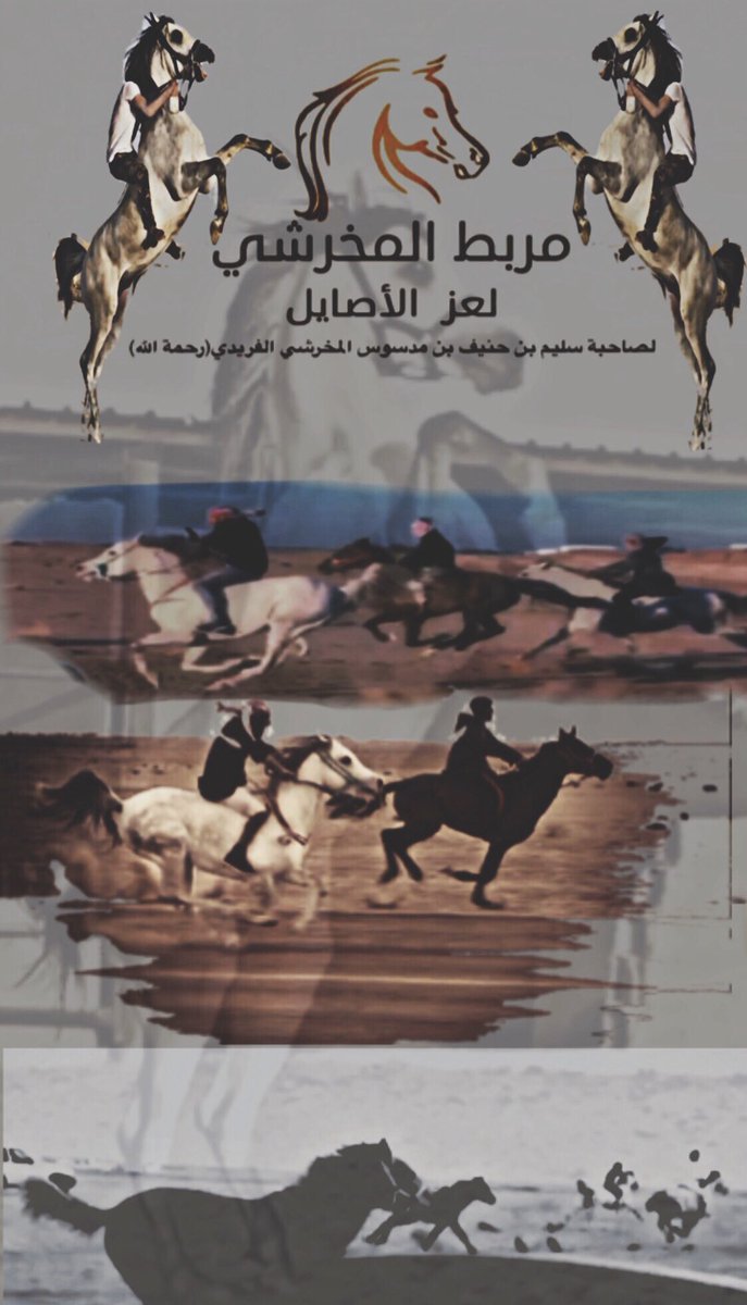 مربط المخرشي لعز الأصايل ♞ tweet media