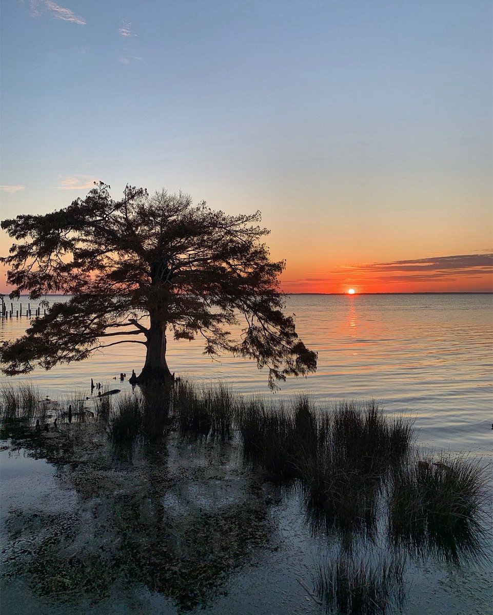 DuckCorollaOBX's tweet image. Earth 🌎❤️ Day • 4/22/20